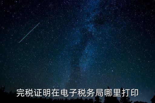 地稅的申報信息如何查詢打印，完稅證明在電子稅務(wù)局哪里打印