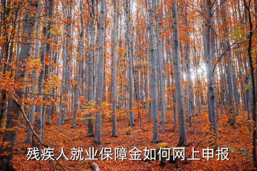 安徽殘疾人保障金如何網(wǎng)上申報，殘疾人就業(yè)保障金如何網(wǎng)上申報