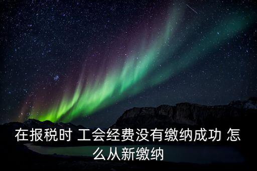 如何補繳工會經(jīng)費，在報稅時 工會經(jīng)費沒有繳納成功 怎么從新繳納