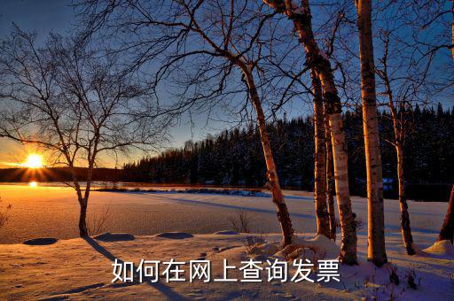 如何查詢(xún)網(wǎng)絡(luò)發(fā)票，怎樣從網(wǎng)上報(bào)稅系統(tǒng)查已開(kāi)的發(fā)票
