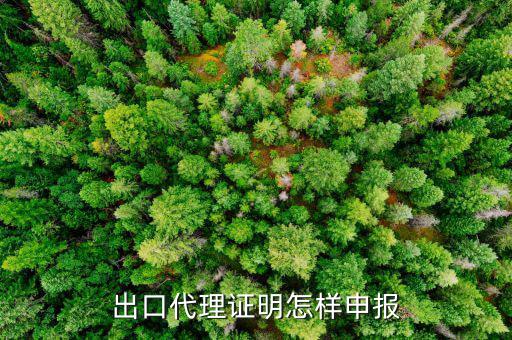代理出口貨物證明如何報稅，出口代理證明怎樣申報