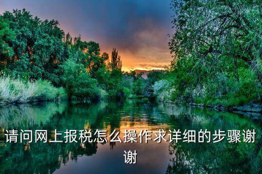 如何指引納稅人使用網(wǎng)上稅務(wù)局，請問網(wǎng)上報稅怎么操作求詳細的步驟謝謝