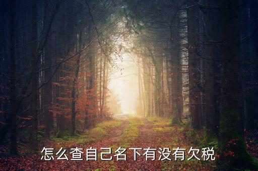如何查欠稅記錄，怎么查個人有沒有欠稅