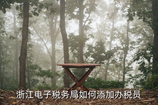 如何在浙江網(wǎng)上稅務(wù)局添加辦稅員，浙江電子稅務(wù)局如何添加辦稅員