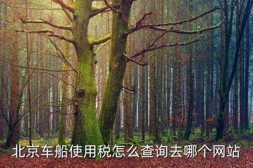 北京車船稅如何查詢系統(tǒng)，北京車船使用稅怎么查詢交沒交
