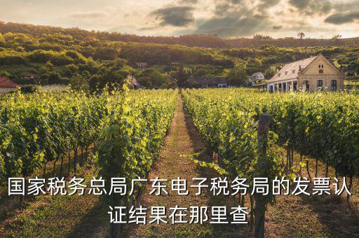 國家稅務總局廣東電子稅務局的發(fā)票認證結果在那里查