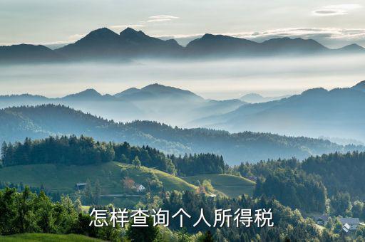 個(gè)人所得稅如何查詢 河南，怎么查詢個(gè)人所得稅