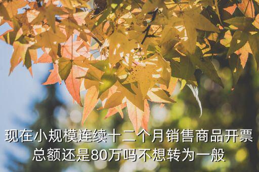 財(cái)稅2018 80號(hào)如何解讀，現(xiàn)在小規(guī)模連續(xù)十二個(gè)月銷(xiāo)售商品開(kāi)票總額還是80萬(wàn)嗎不想轉(zhuǎn)為一般