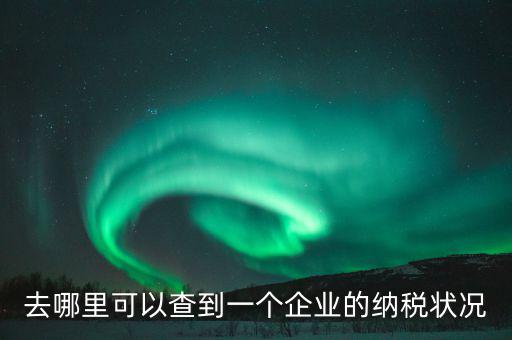 企業(yè)在哪納稅如何查，去哪里可以查到一個(gè)企業(yè)的納稅狀況