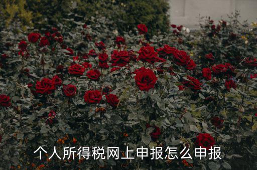 福建個(gè)人納稅如何申報(bào)，個(gè)人所得稅網(wǎng)上申報(bào)怎么申報(bào)
