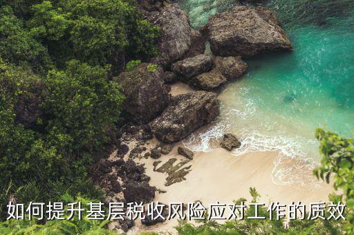 區(qū)縣局如何做好風險應對工作，如何提升基層稅收風險應對工作的質(zhì)效
