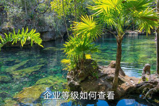 如何查納稅信用等級，企業(yè)納稅信用等級有何用處