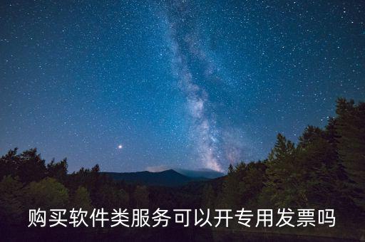 軟件采購專票如何開具，購買軟件類服務可以開專用發(fā)票嗎