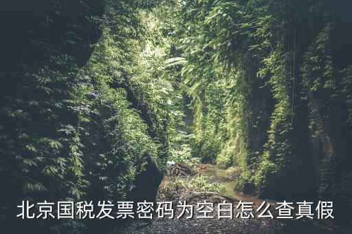 北京國稅發(fā)票真?zhèn)稳绾尾樵?，北京國稅發(fā)票密碼為空白怎么查真假