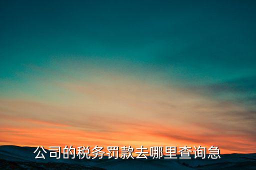 公司的稅務(wù)罰款去哪里查詢(xún)急