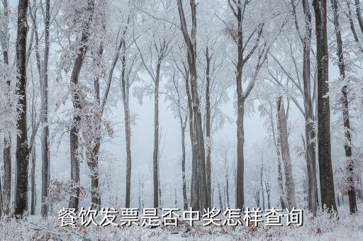 稅票中獎查詢?nèi)绾尾樵?，餐飲發(fā)票是否中獎怎樣查詢