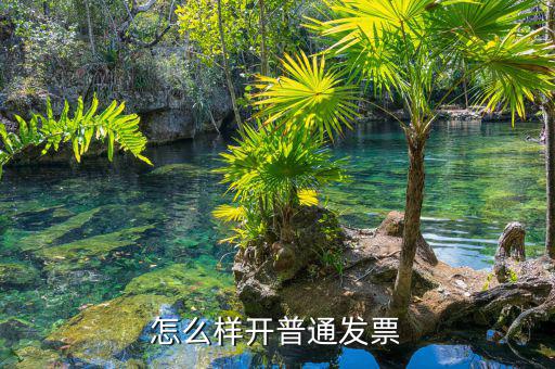 如何搞增值稅普通發(fā)票，怎么樣在電腦上開增值稅普通發(fā)票