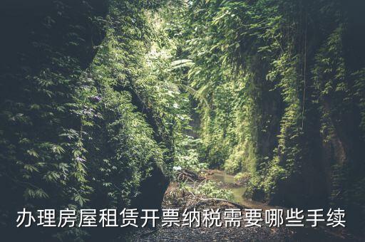 租房如何開增值稅專票，房屋租賃可以開增值稅專用發(fā)票嗎