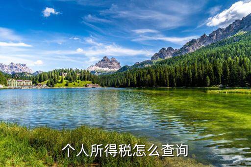 如何查稅，怎么查自己交了多少稅