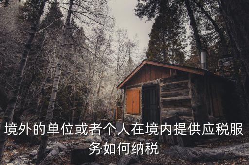 境外機構如何繳納增值稅，來源于境外收入怎么交增值稅