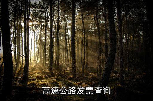 如何知道道路發(fā)票幾級(jí)，汽車的增值稅發(fā)票怎么看