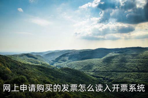 網(wǎng)購發(fā)票如何讀入，網(wǎng)上申請購買的發(fā)票怎么讀入開票系統(tǒng)