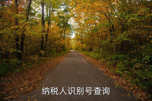 如何查公司納稅人識別號，納稅人識別號查詢