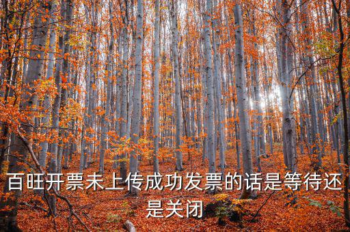 百旺未上傳發(fā)票如何上傳，百旺開票軟件怎么查詢發(fā)票是否已上傳