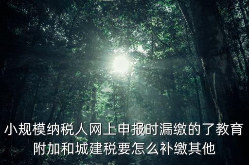 過了征期如何補交城建稅，請問城建稅忘記交怎么辦