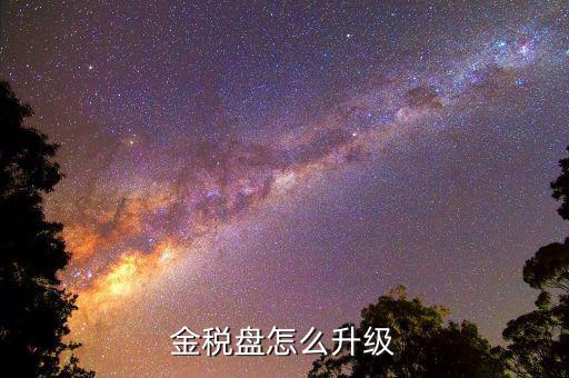 百旺金稅盤如何升級，金稅盤怎么升級
