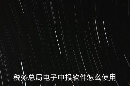稅務(wù)總局電子申報軟件怎么使用