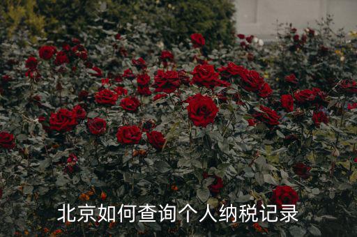 如何查詢北京國稅局納稅人狀態(tài)，如何進(jìn)行北京市A級(jí)納稅人信用查詢