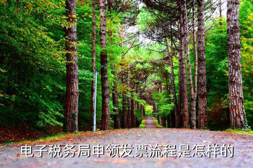 電子稅務局申領發(fā)票流程是怎樣的