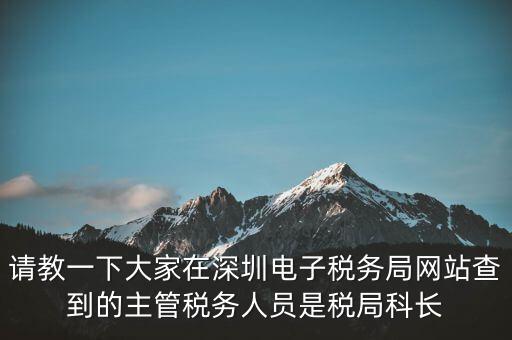 請教一下大家在深圳電子稅務局網(wǎng)站查到的主管稅務人員是稅局科長