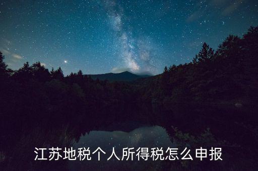 如何申報(bào)年稅江蘇，江蘇地稅個(gè)人所得稅怎么申報(bào)