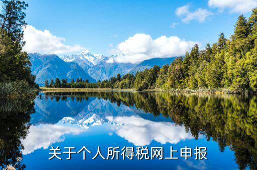 網(wǎng)上如何啟用個(gè)稅，如何打開個(gè)人所得稅申報(bào)表的明細(xì)