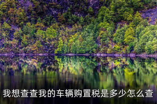 如何看購(gòu)置稅發(fā)票，我想查查我的車輛購(gòu)置稅是多少怎么查