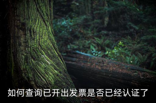 如何查詢已開(kāi)出發(fā)票是否已經(jīng)認(rèn)證了
