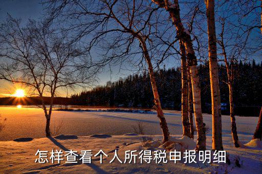 如何查詢個人所得稅明細(xì)申報，怎樣查看個人所得稅申報明細(xì)