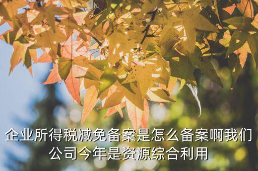 如何打印稅收優(yōu)惠備案通知書，減免稅備案登記告知書在哪里打印的