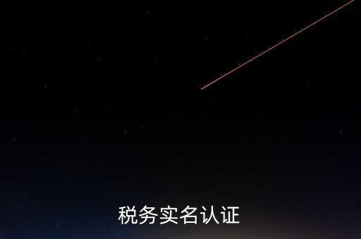 湖北省公司辦稅人員如何實(shí)名，稅務(wù)實(shí)名制信息采集