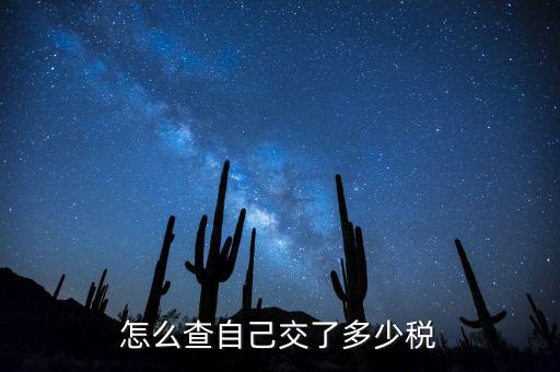 如何查詢交稅，如何查詢企業(yè)繳稅情況