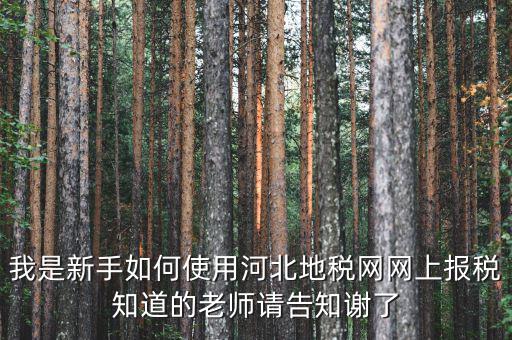 河北省地稅網(wǎng)上申報如何操作，地稅網(wǎng)上申報如何操作