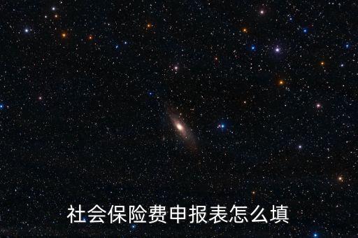 稅務(wù)系統(tǒng)社保費(fèi)申報(bào)表如何填報(bào)，社會保險(xiǎn)費(fèi)申報(bào)表怎么填