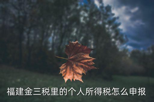 福建企業(yè)個稅如何申報系統(tǒng)，福建省2019年企業(yè)所得稅年報 在哪里報