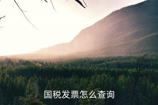河北省的發(fā)票如何查詢，我的發(fā)票在河北地稅網(wǎng)上可以查到信息都沒有問題但是河北地稅