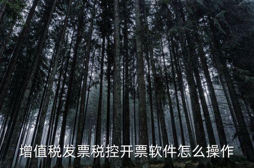 百望開(kāi)票軟件如何開(kāi)票，百望開(kāi)票系統(tǒng)發(fā)票抬頭有符號(hào)怎么打