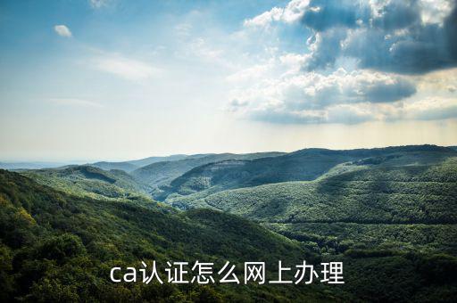 四川網(wǎng)上稅務(wù)如何ca登錄，ca證書如何登錄國(guó)稅
