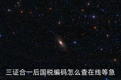 三證合一后國(guó)稅編碼怎么查在線(xiàn)等急