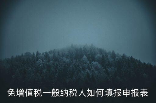 免稅如何填寫申報表，免稅企業(yè)如何填報增值稅納稅申報表